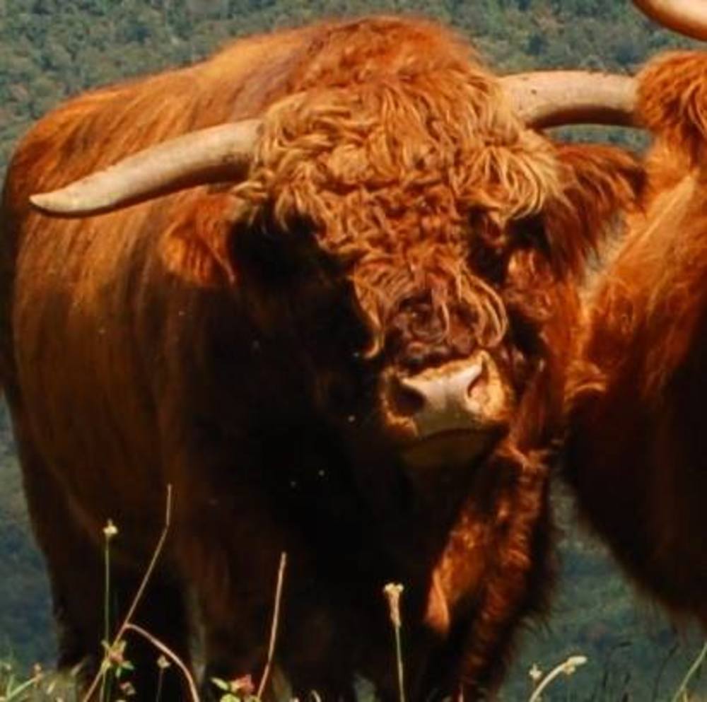 Meet your Posher, Farmer